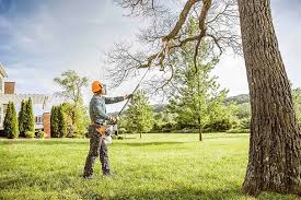 Best Tree Removal Services  in Eatons Neck, NY